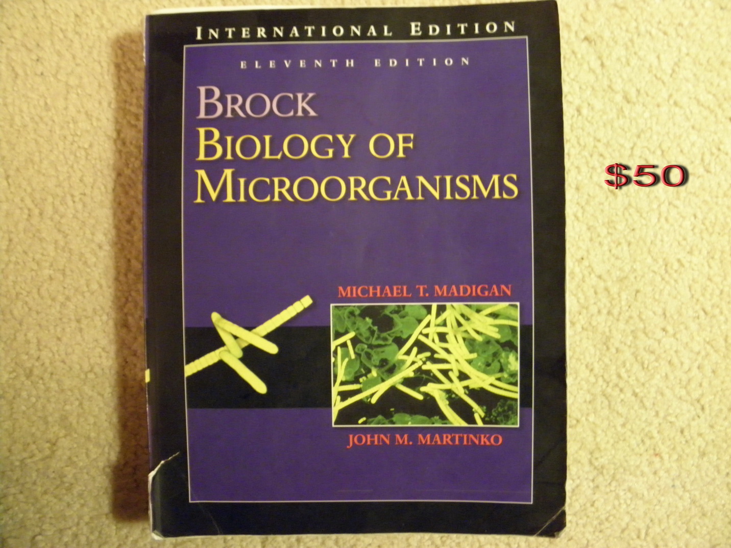 book (12).jpg