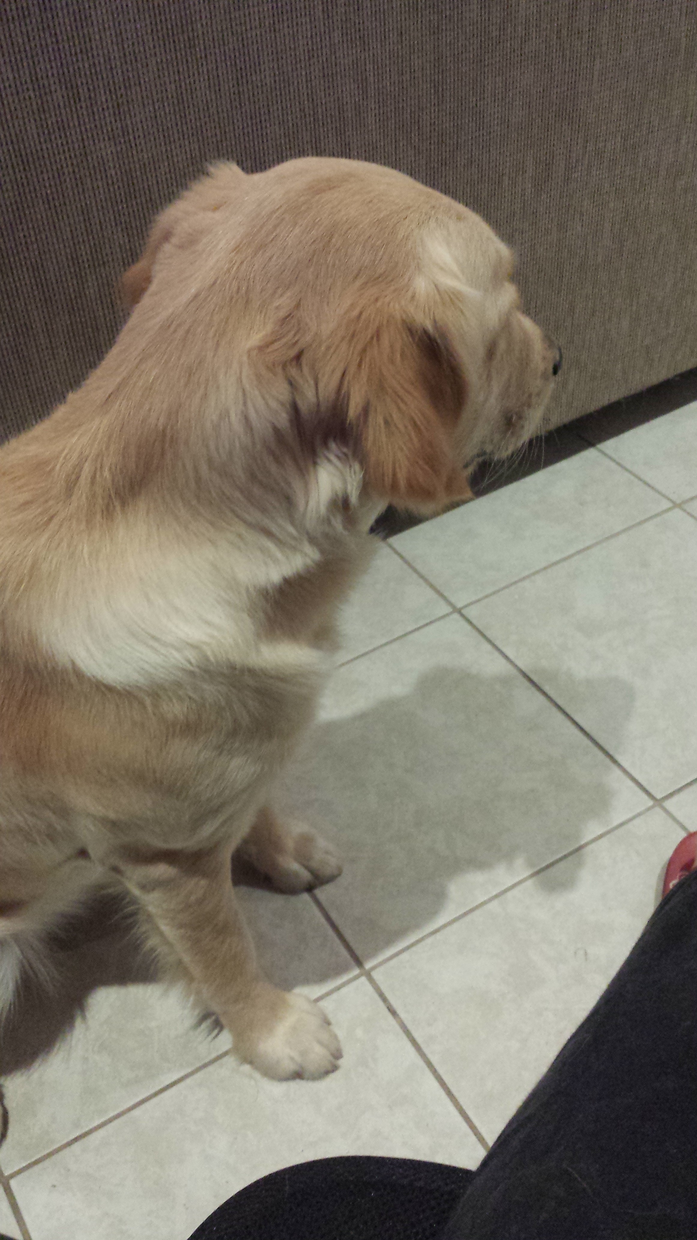20130601_192729.jpg