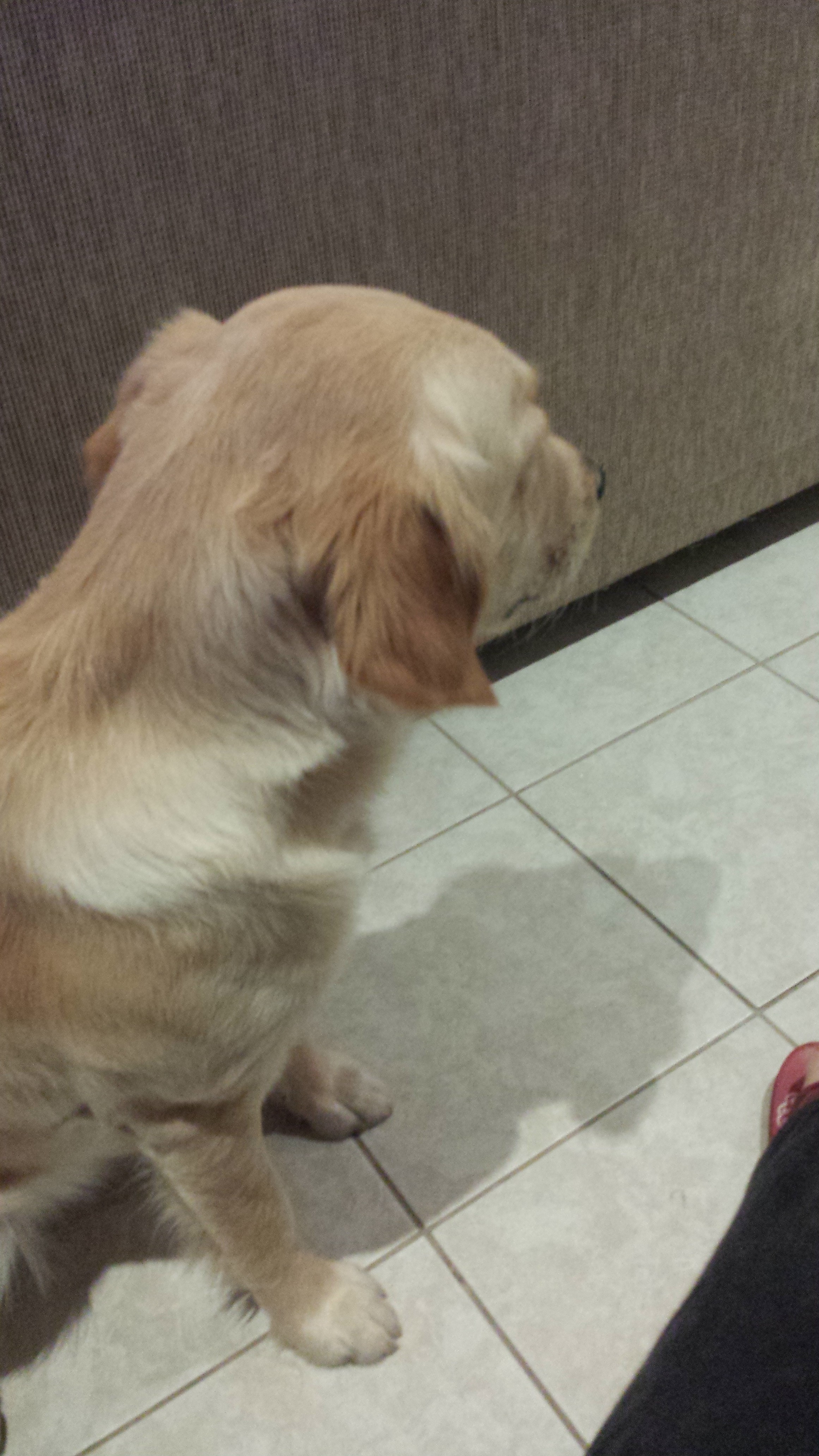 20130601_192722.jpg