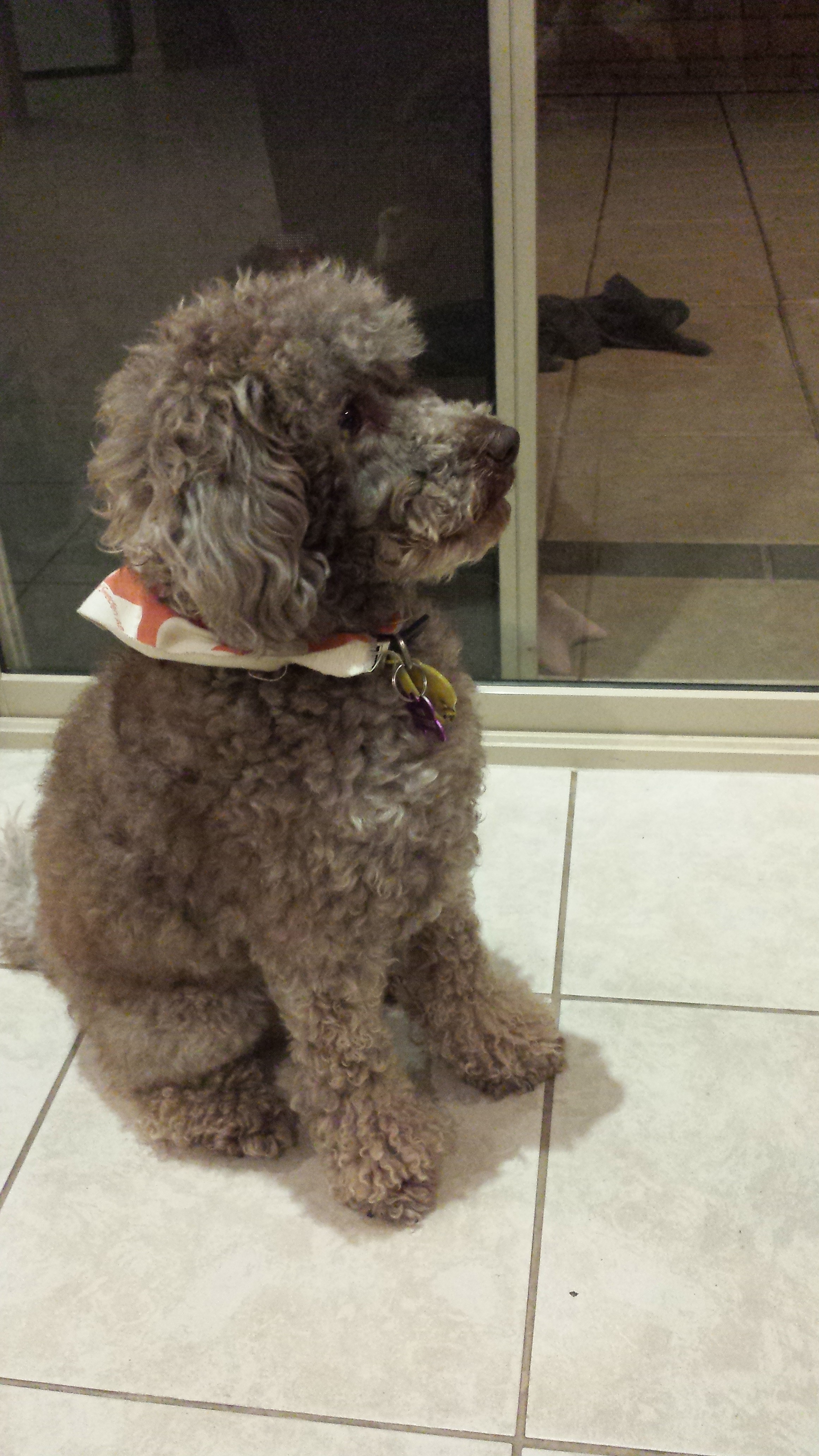 20130601_192534.jpg