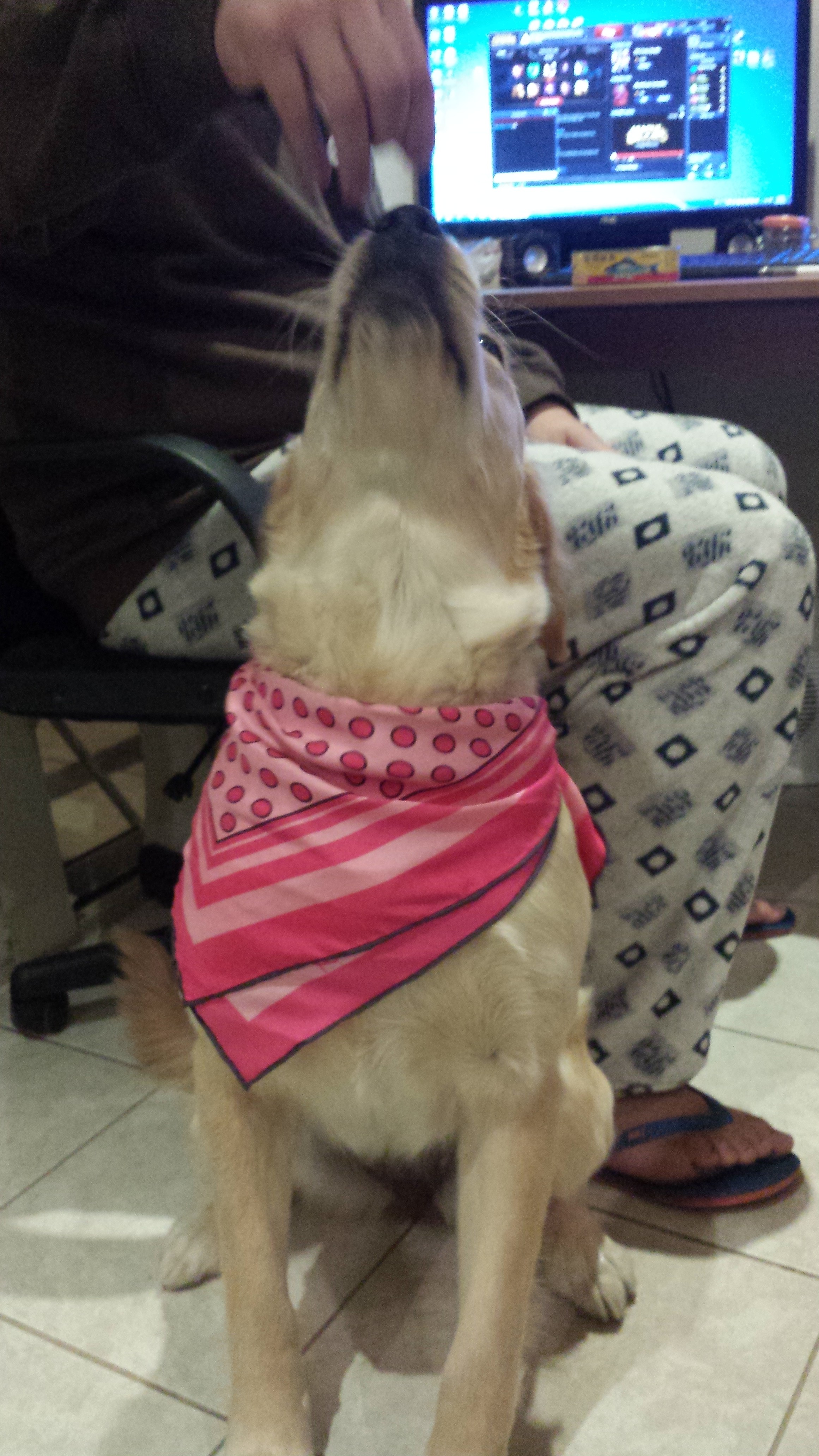 20130601_192427.jpg