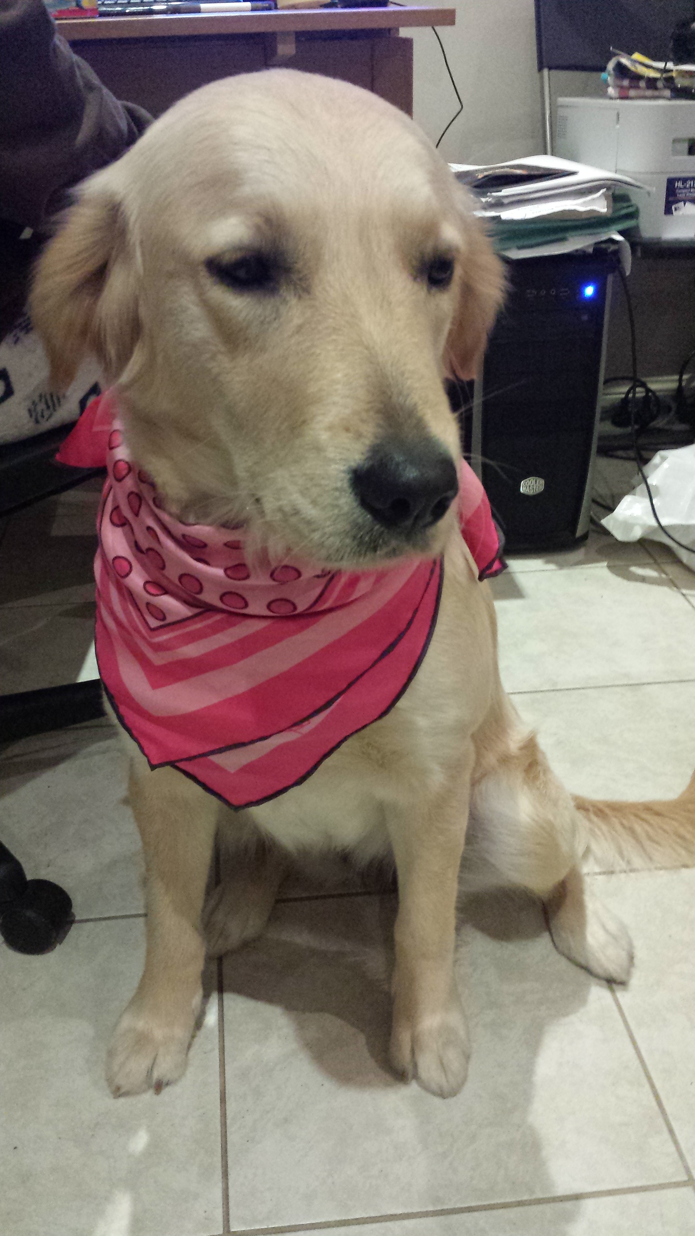 20130601_192353.jpg