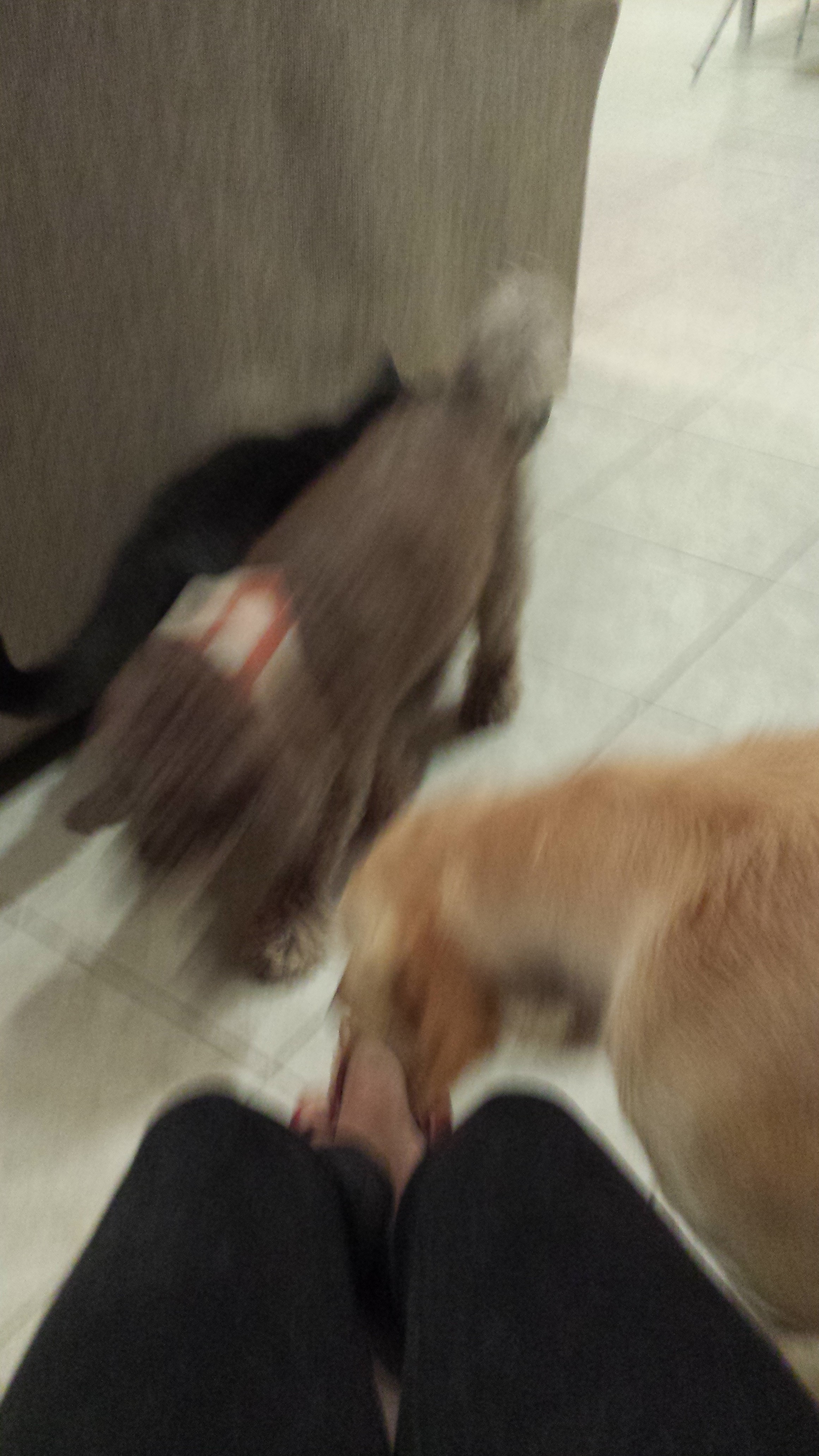 20130601_192754.jpg