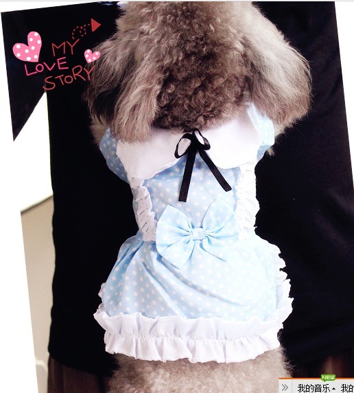 QQͼƬ20130902221942.jpg