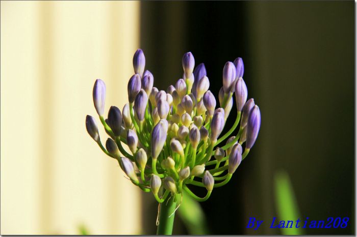 IMG_2862.JPG