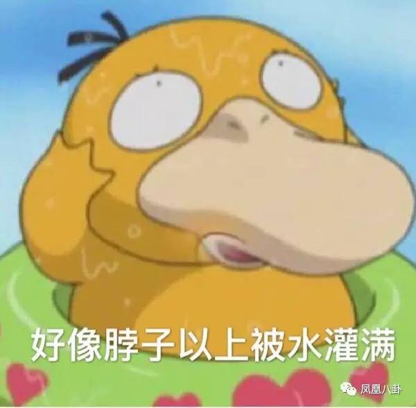 55aa9378e0f69c91d5acb3ec9267496c.jpg