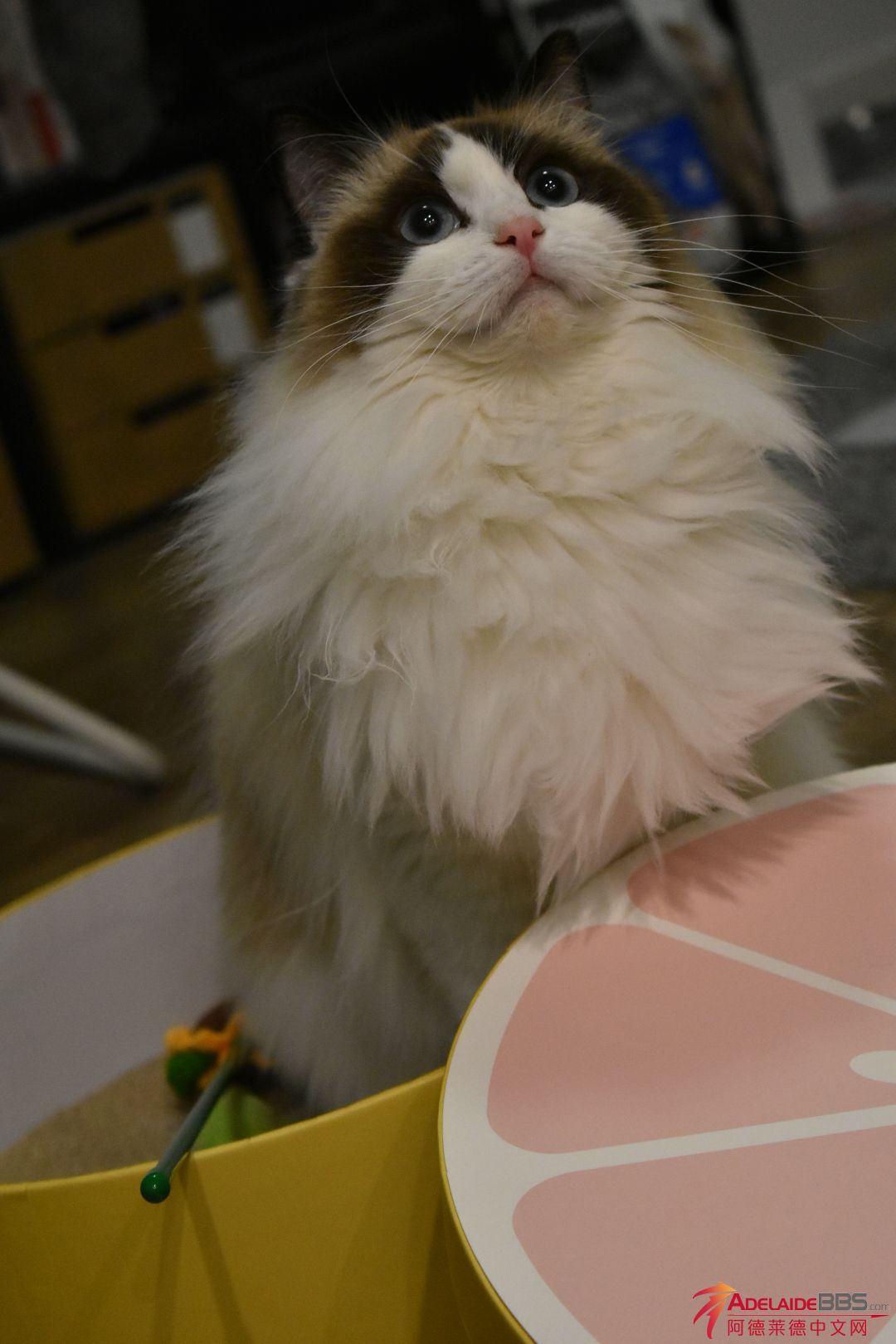 DSC_0422.JPEG