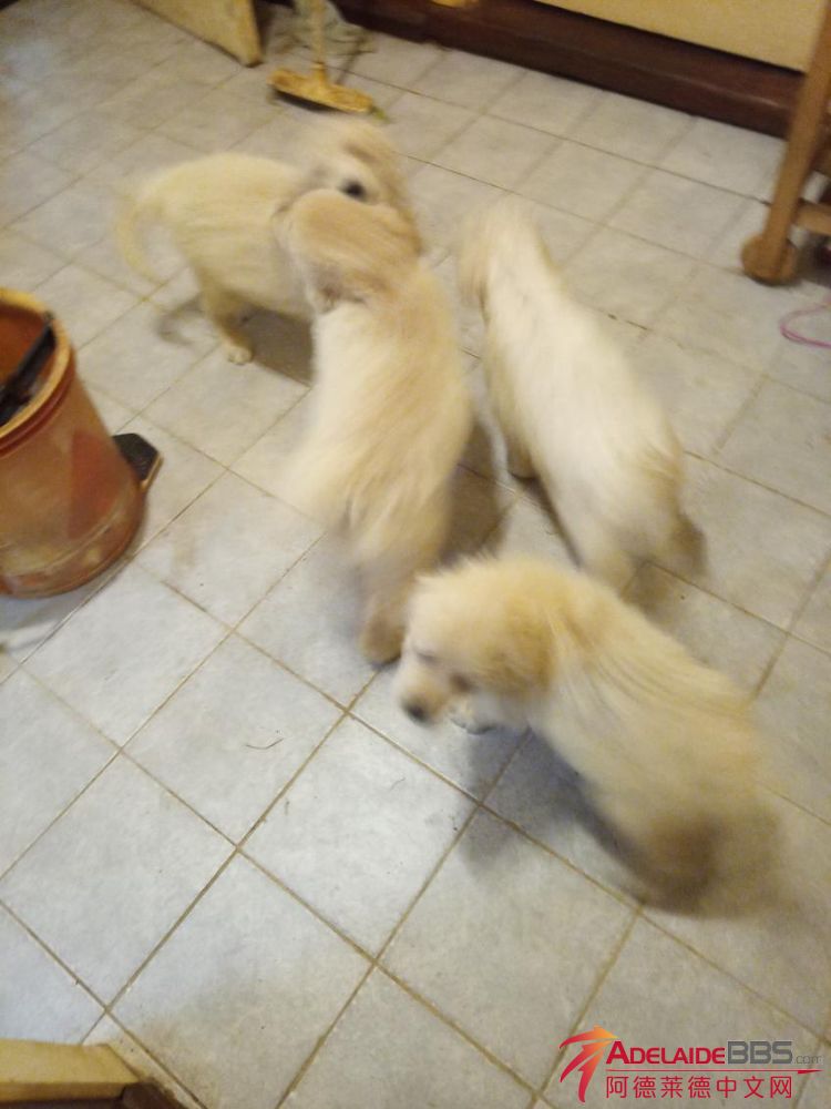 image000002.jpeg