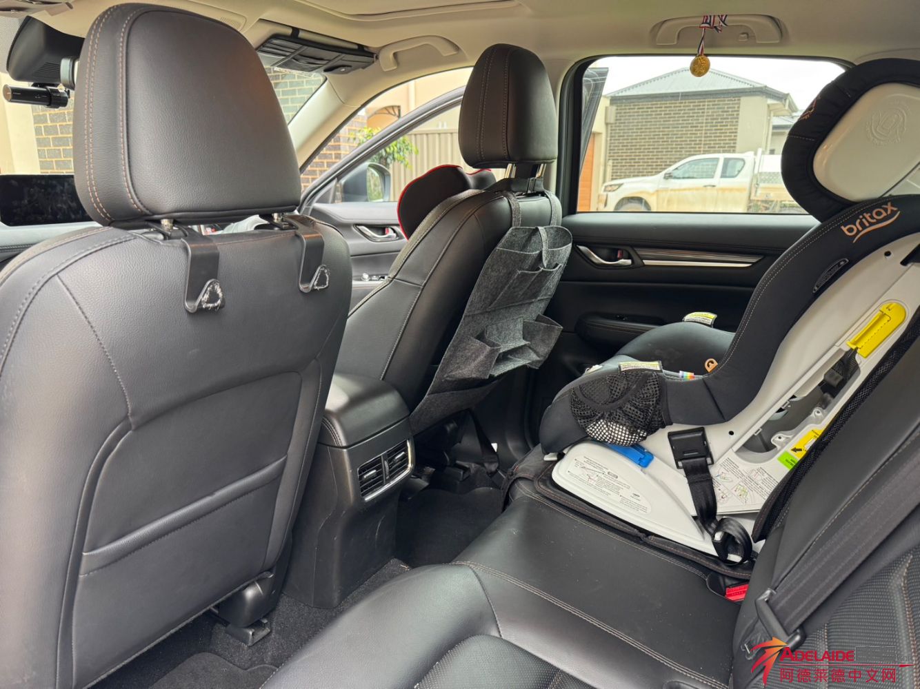 IMG_2599.jpeg