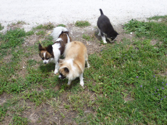 P1000289.JPG