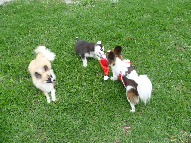 P1000326.JPG
