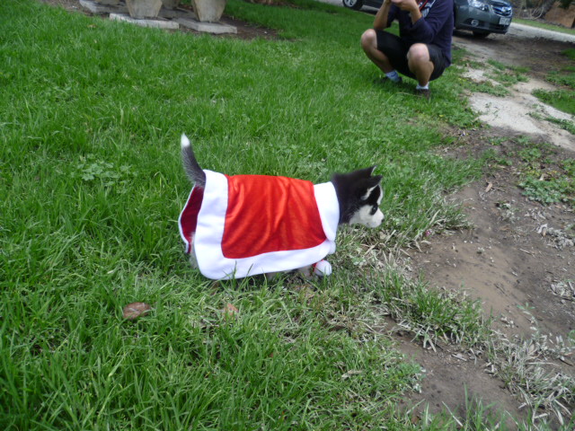 P1000203.JPG