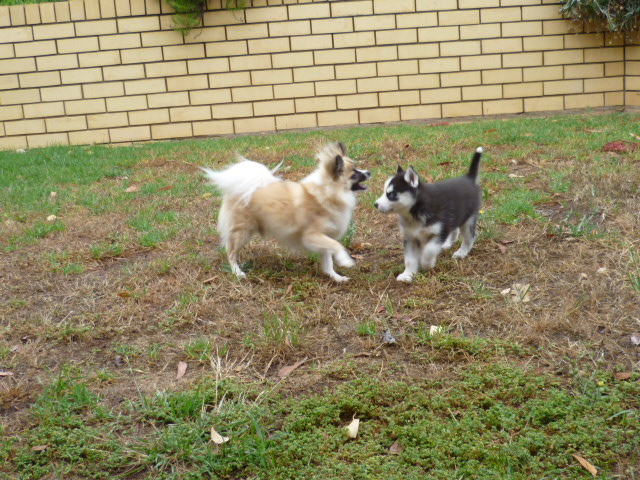 P1000188.JPG