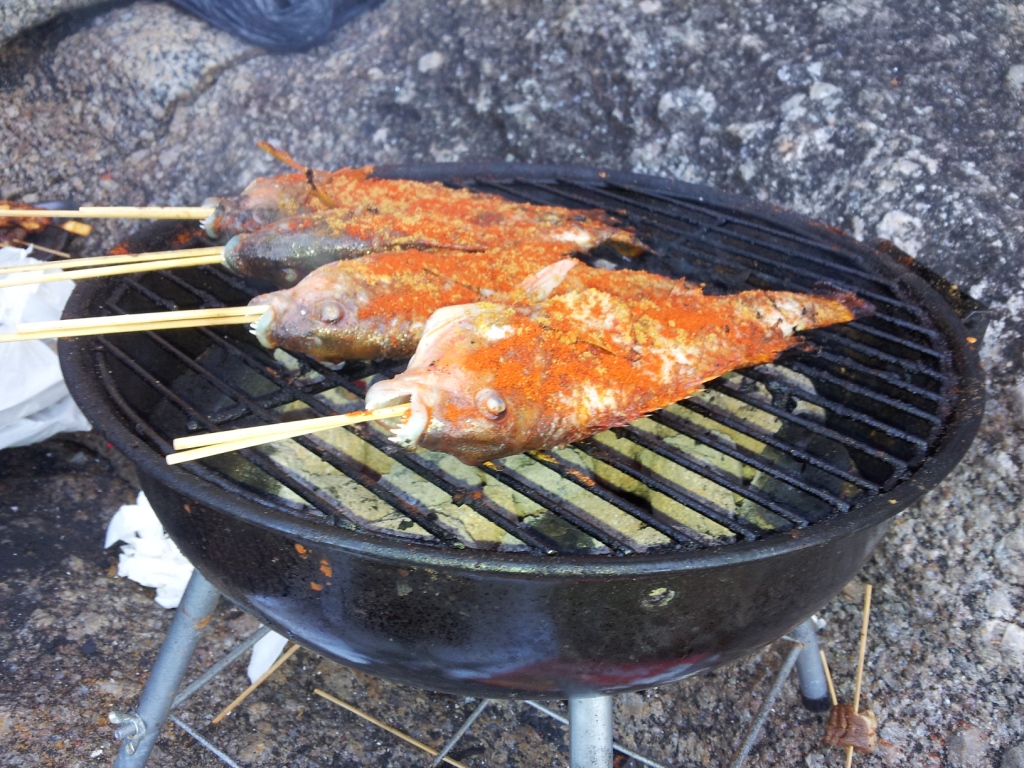 20120911_125508.jpg