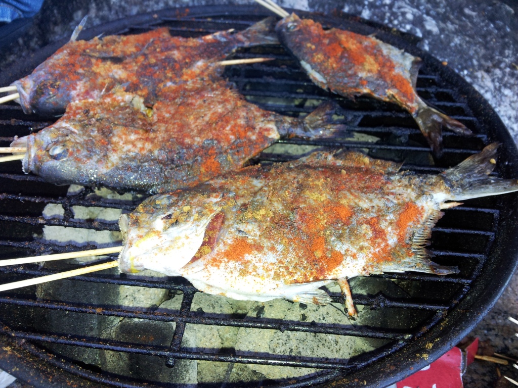 20120911_130616.jpg