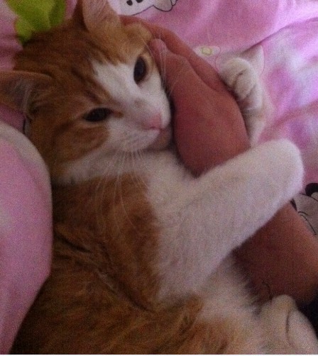 ���Ĵ���~~~~