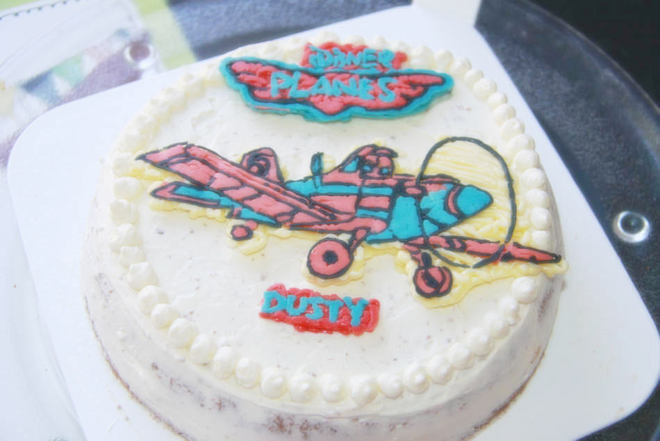 ��ʿ��DUSTY�ɻ�����