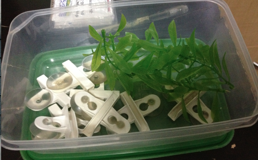 Screen Shot 2013-11-24 at 2.52.47 PM.png