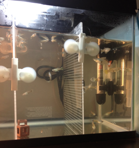 Screen Shot 2013-11-24 at 3.01.56 PM.png