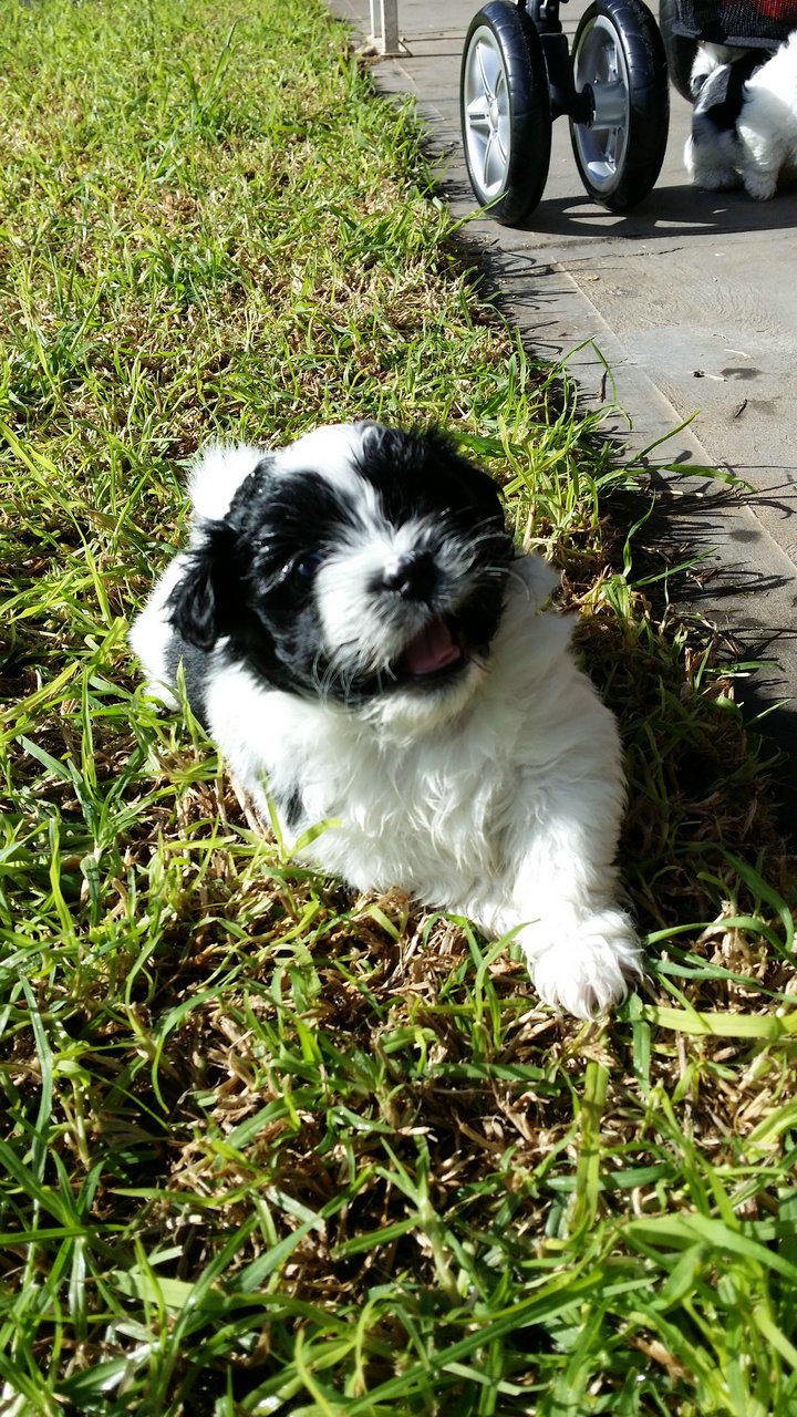 20140621_120156.jpg