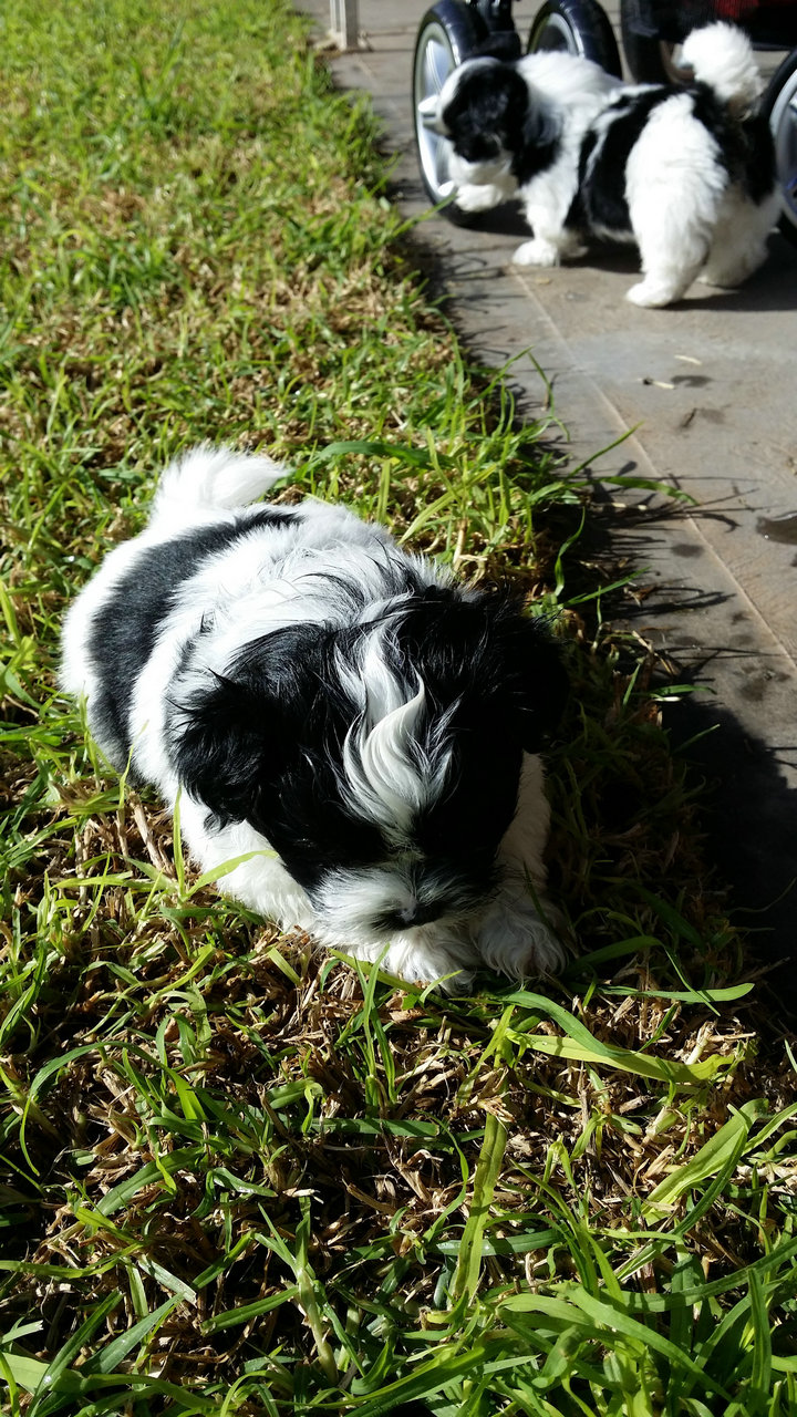 20140621_120158.jpg