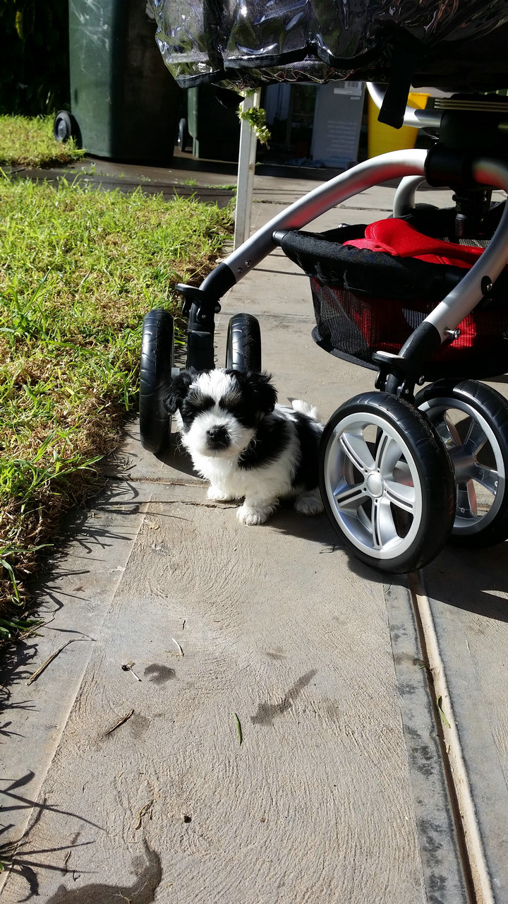 20140621_120202.jpg