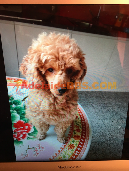 Screen Shot 2016-02-22 at 10.10.38 PM.png