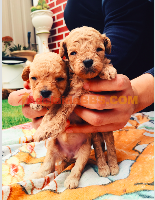 Screen Shot 2016-02-22 at 10.10.59 PM.png