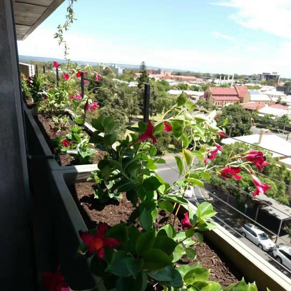 WeChat Image_20180117114717.jpg