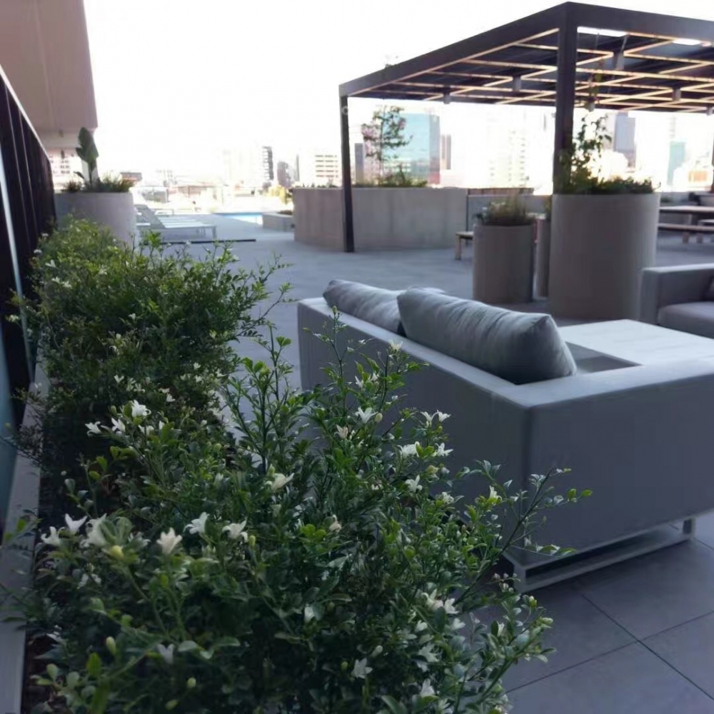 WeChat Image_20180117114827.jpg