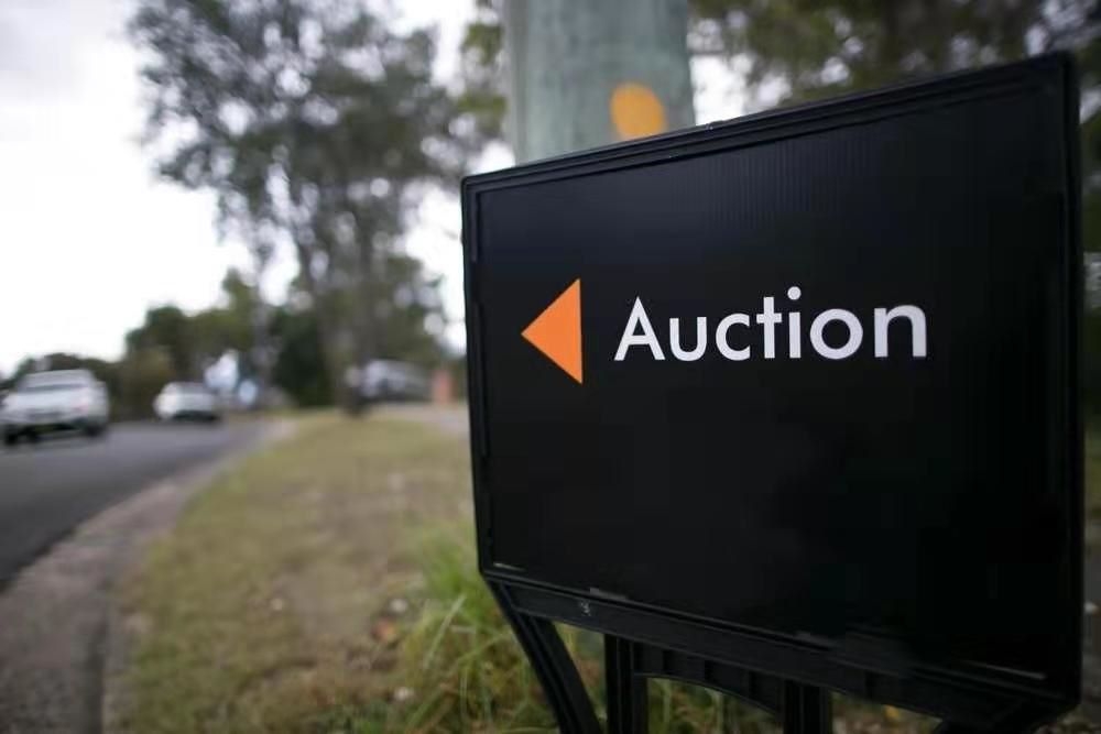 Auction 3.jpg