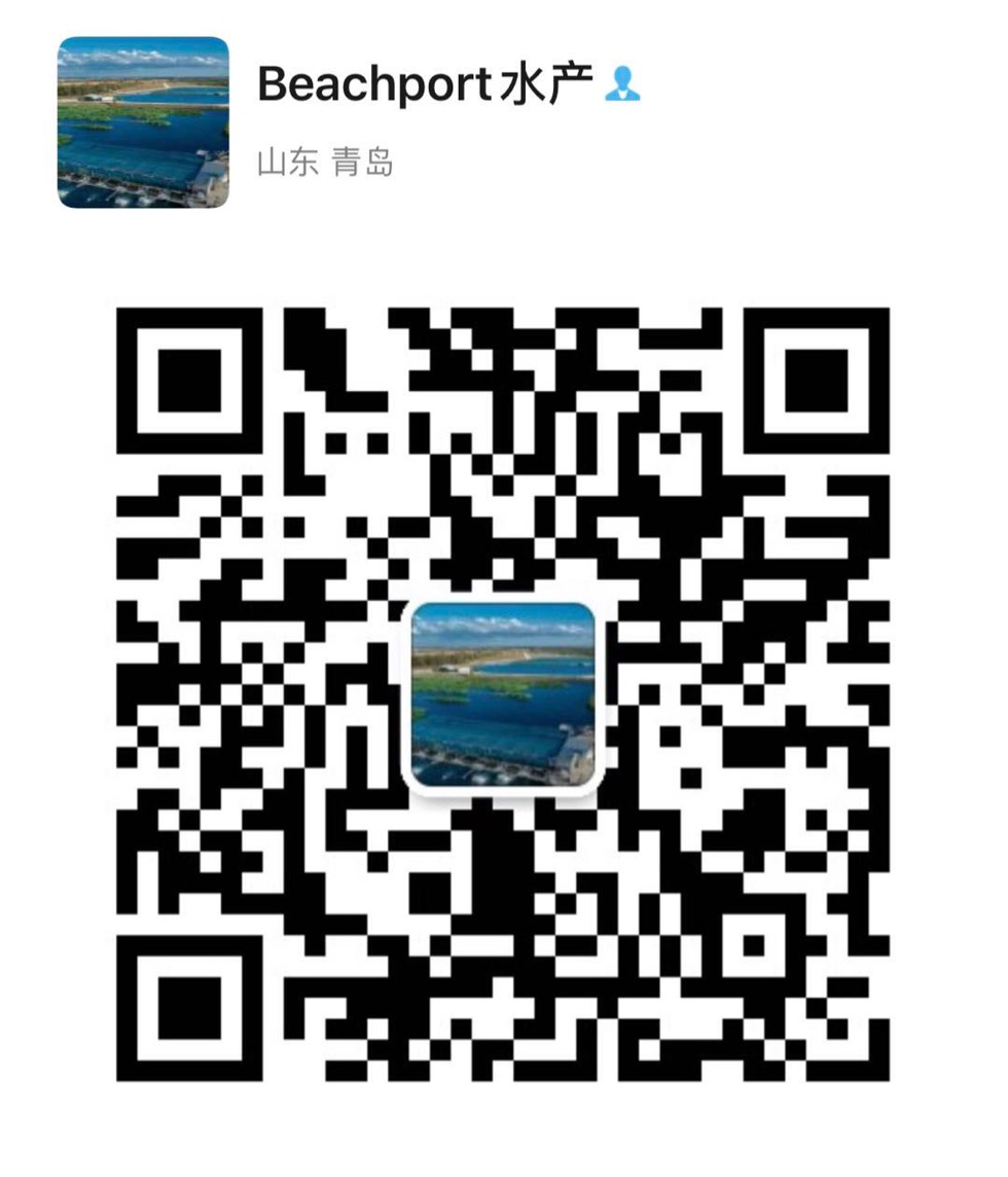 074054vfzr1w9719ik91gy.jpg