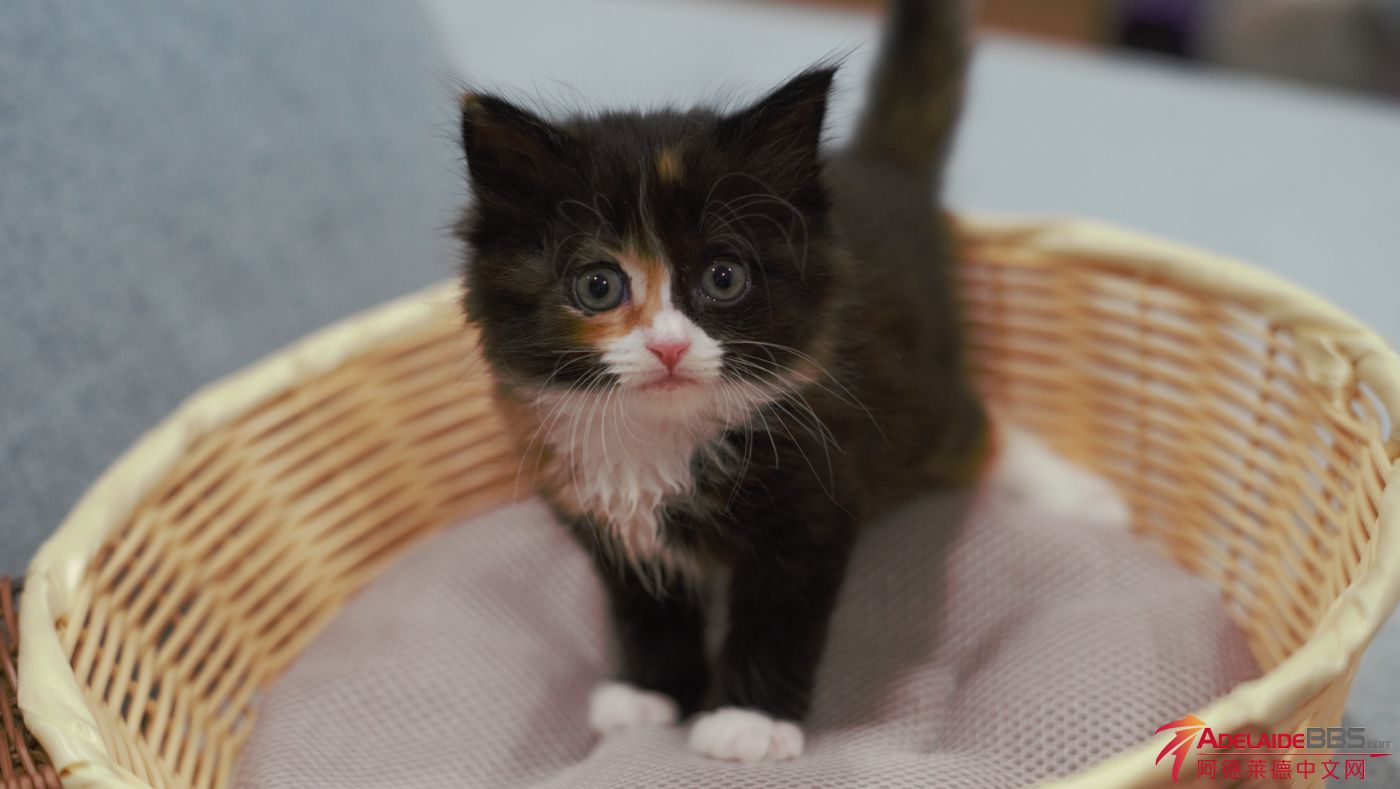 WeChat Screenshot_20230420160600.png