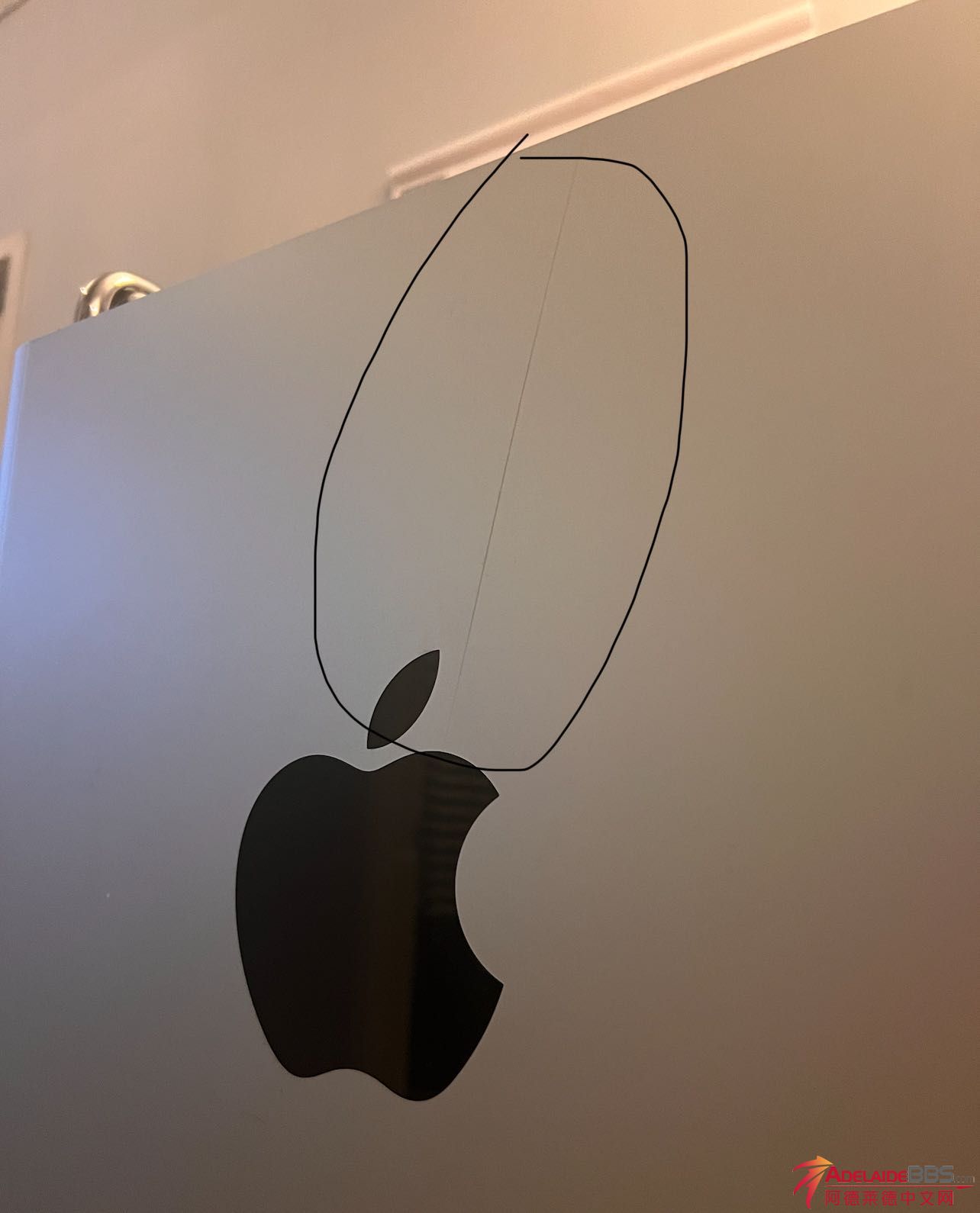 Weixin Image_20241112221728.jpg