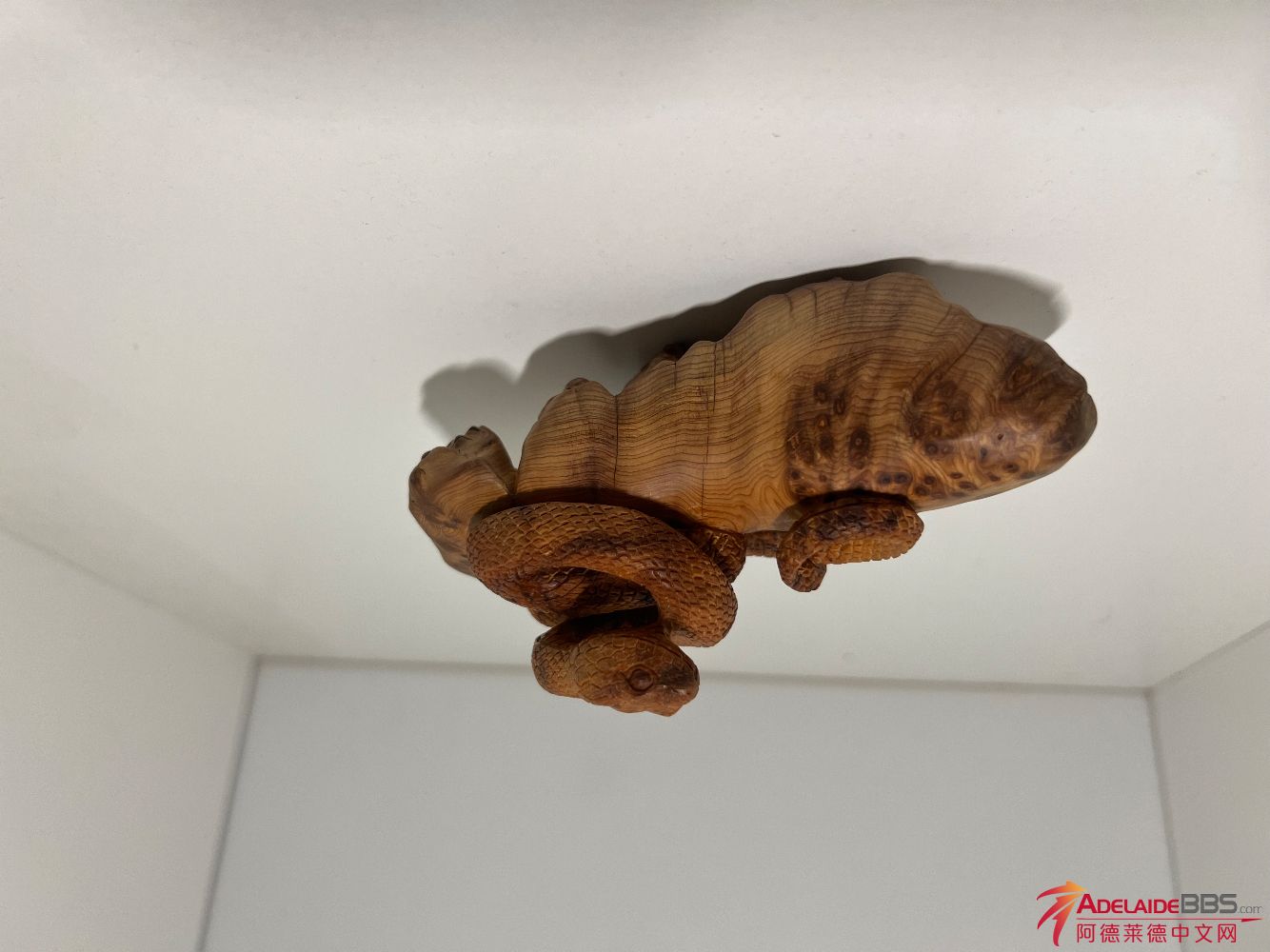 IMG_1116.jpeg