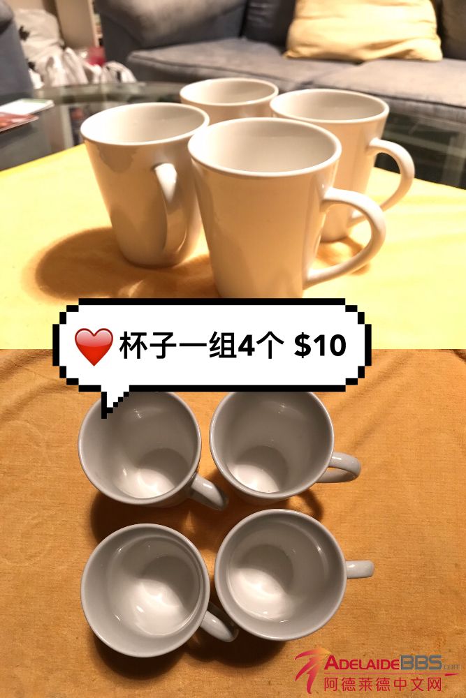 IMG_2051.jpeg
