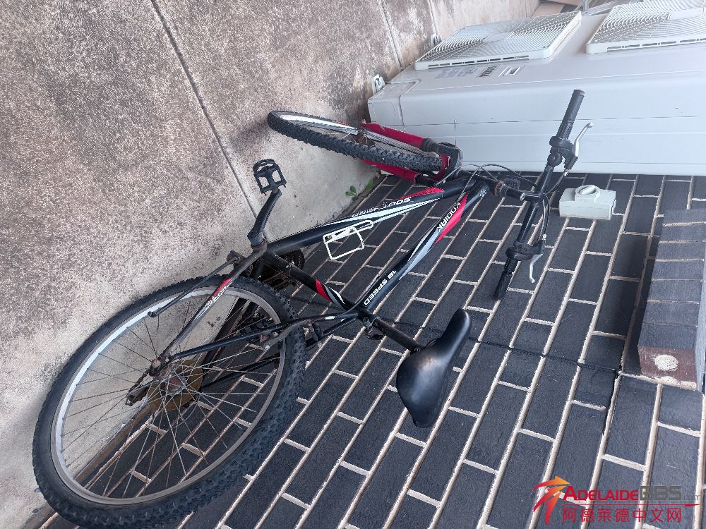 IMG_3490.jpeg