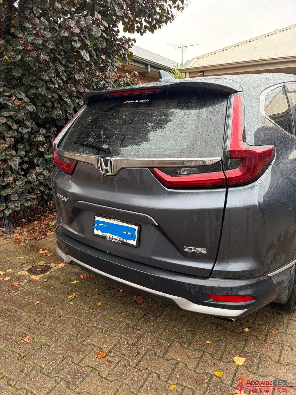 CRV-1.jpg