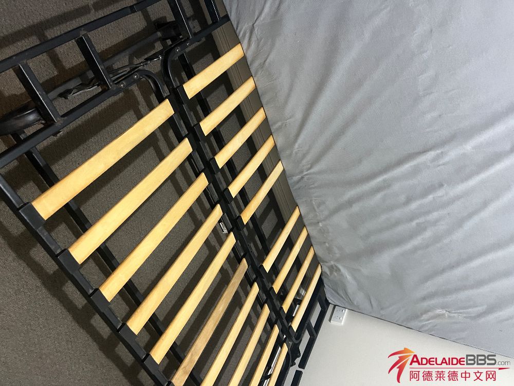 IMG_9582.jpeg