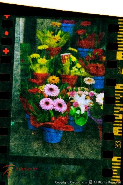 IMGP5829.jpg
