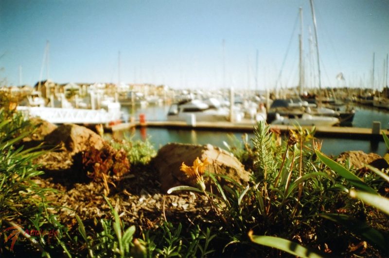 IMG.jpg