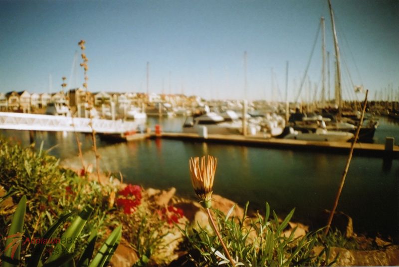 IMG_0004.jpg