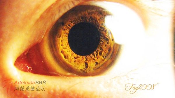 ������С���̵���֮��....