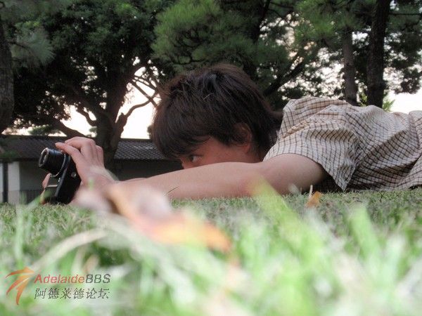 ҵ�������